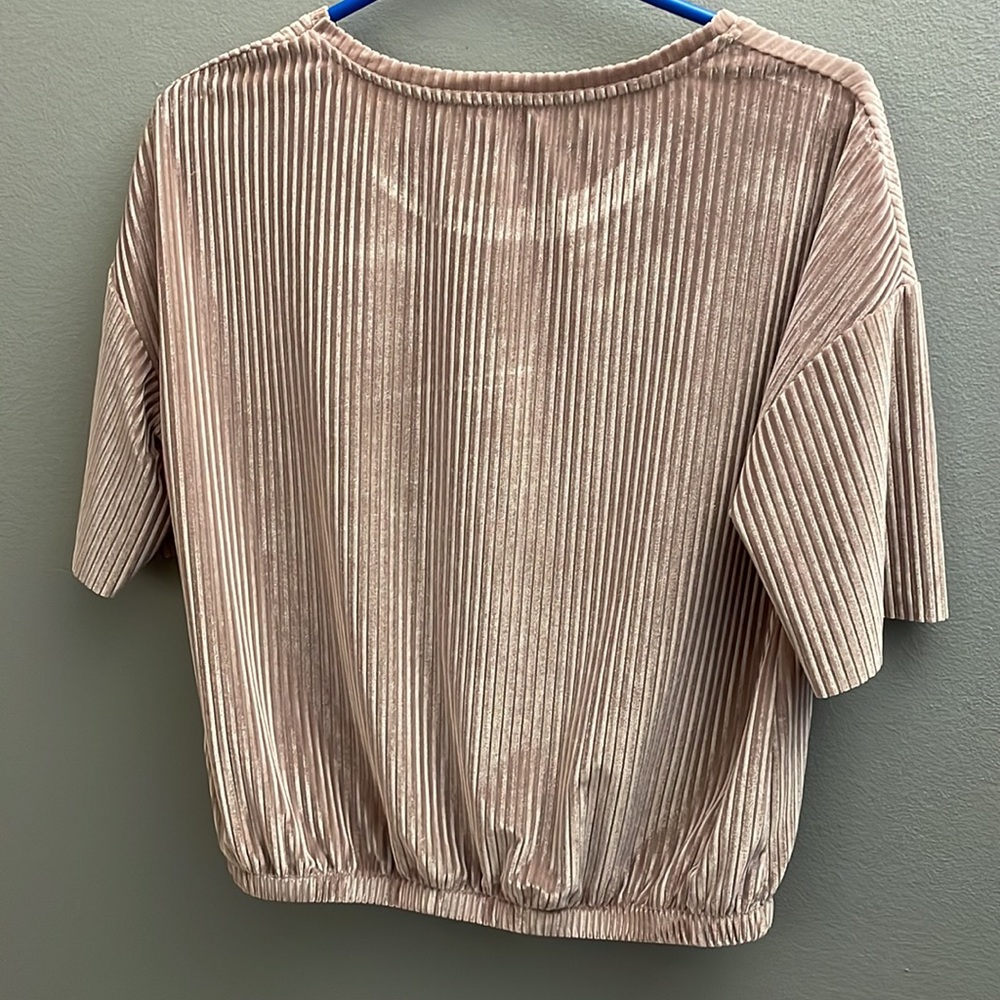 Blush Ribbed Velvet Top - Picture 4 of 8
